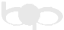 Big Picture Logo